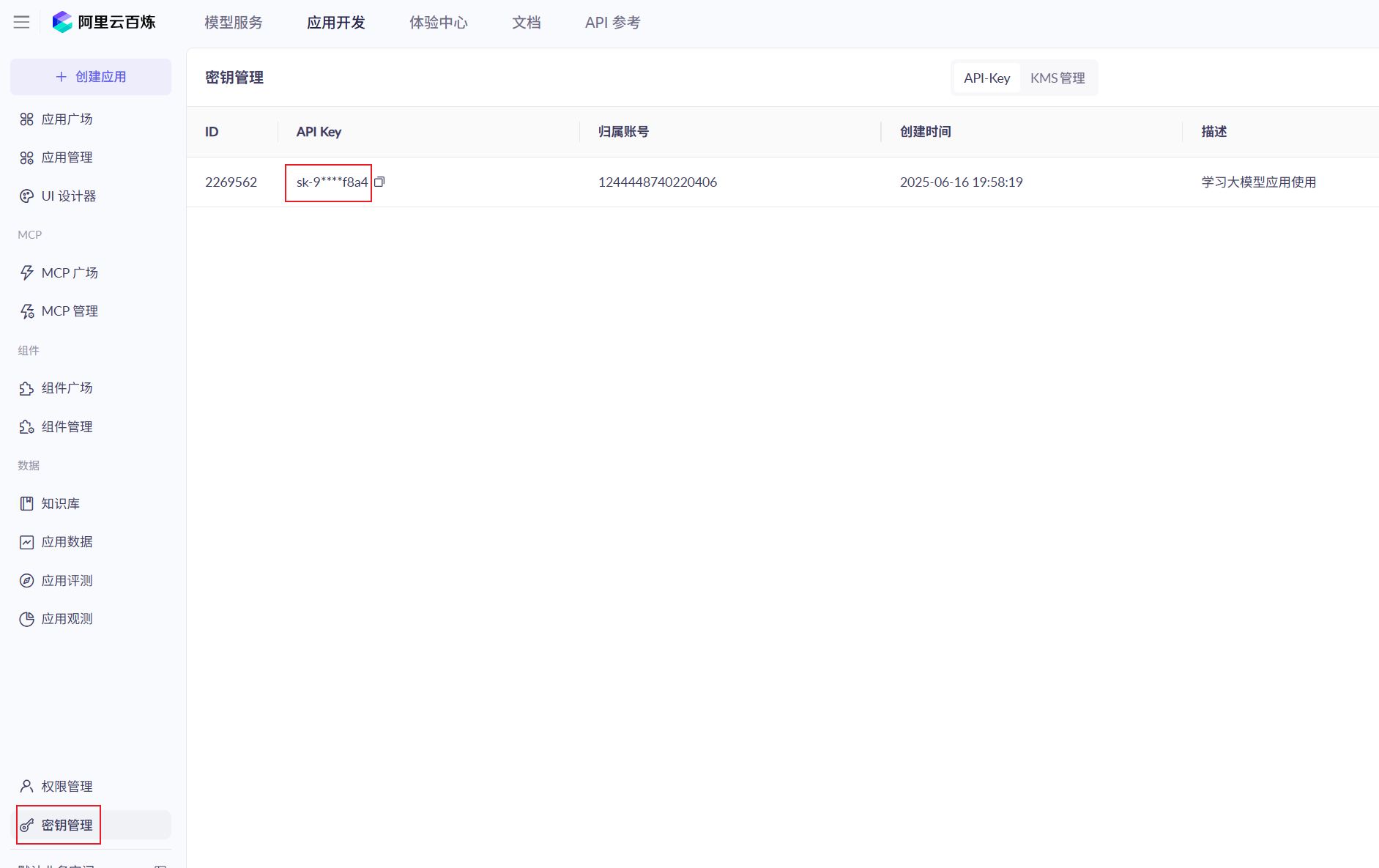 获取 API Key